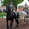 CRW_5887.jpg